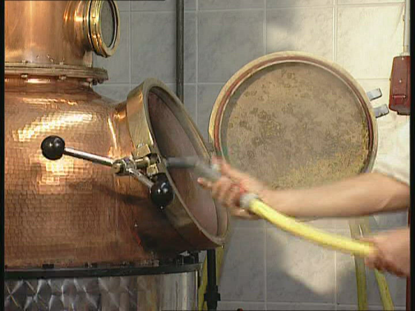 129908284 / Schnapps / Baden-Wuerttemberg / Germany