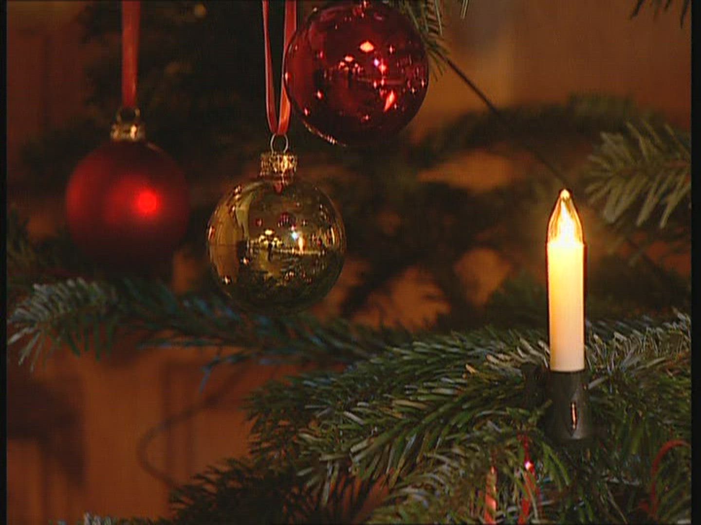 433792247 / Christmas Tree / Christmas Decoration