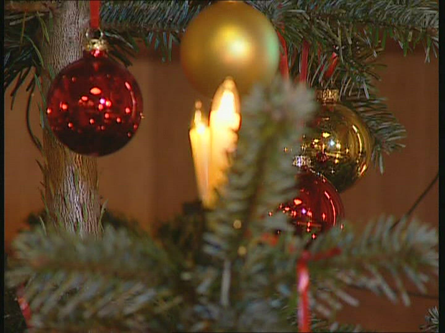 845882414 / Christmas Tree / Christmas Decoration