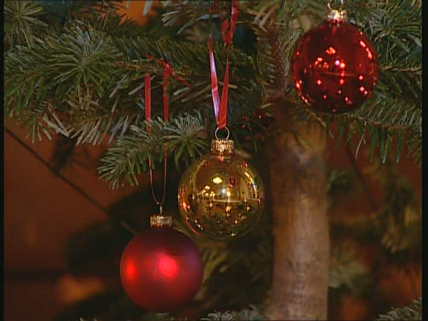 846946140 / Christmas Tree / Christmas Decoration