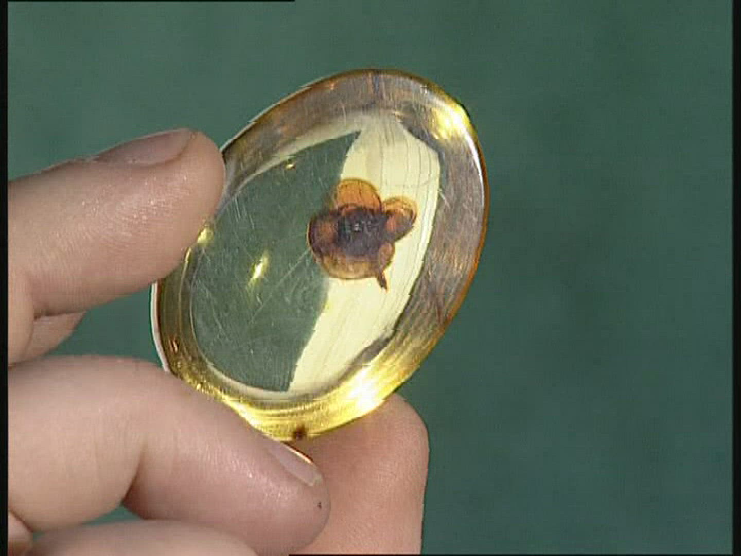 896342366 / Precious Stone / Bernstein / Workshop / Poland
