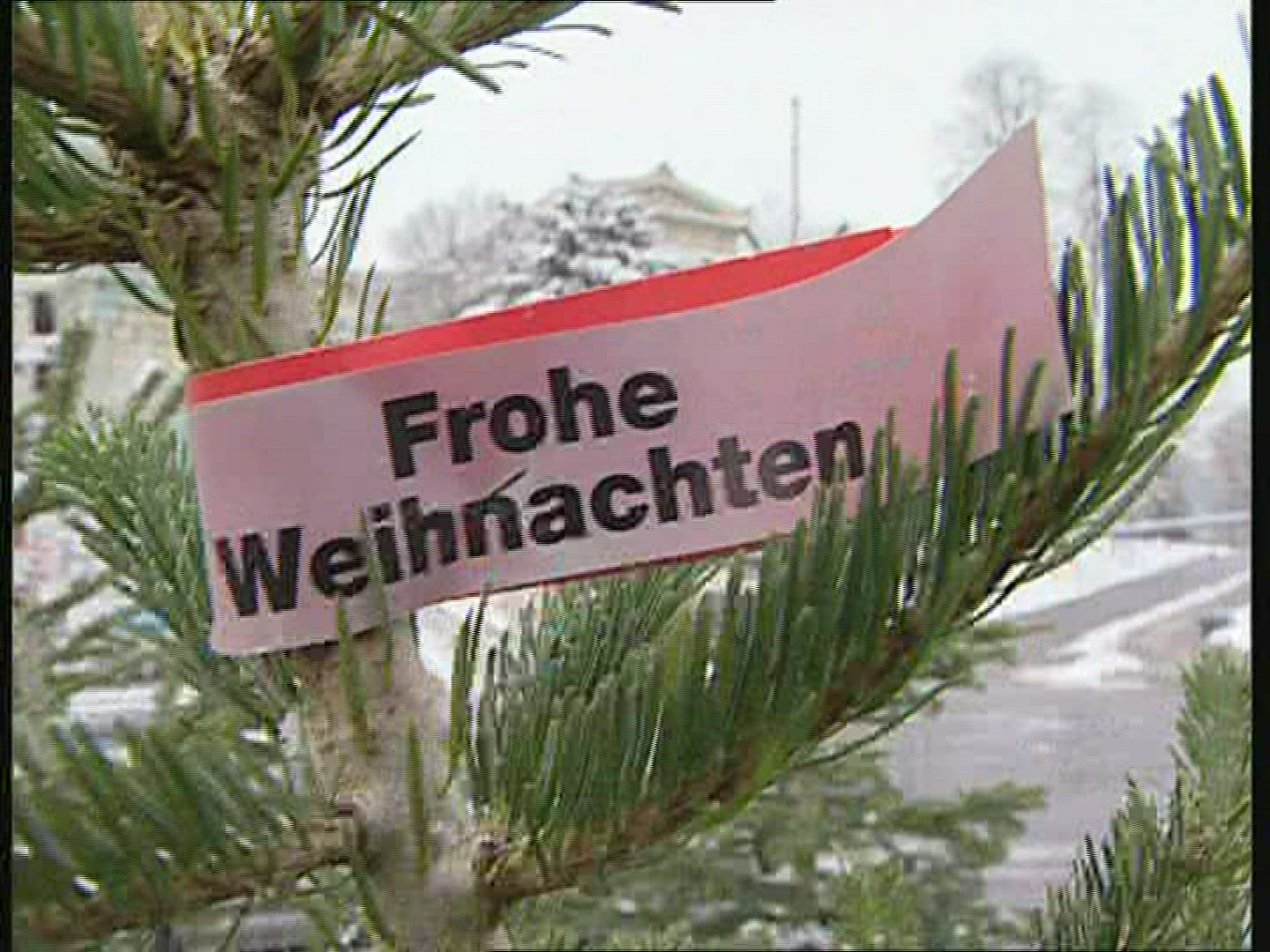 537130305 / Christmas Tree / Munich / Germany 537130305 / Christmas Tree / Munich / Germany