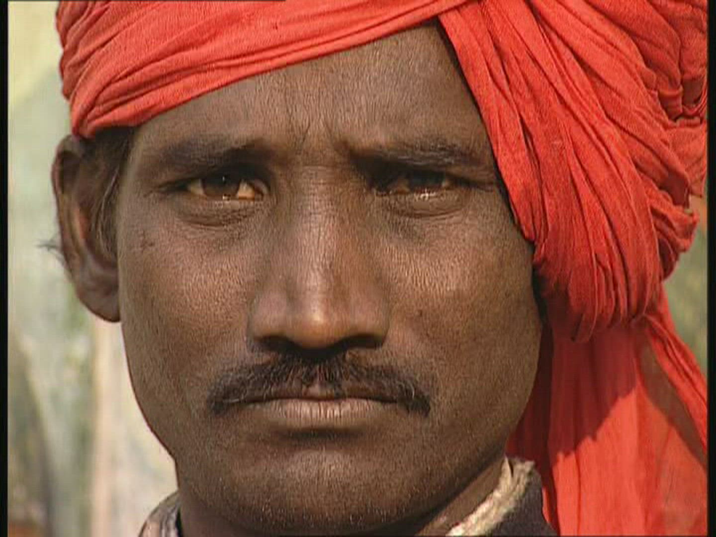 773736531 / People / India