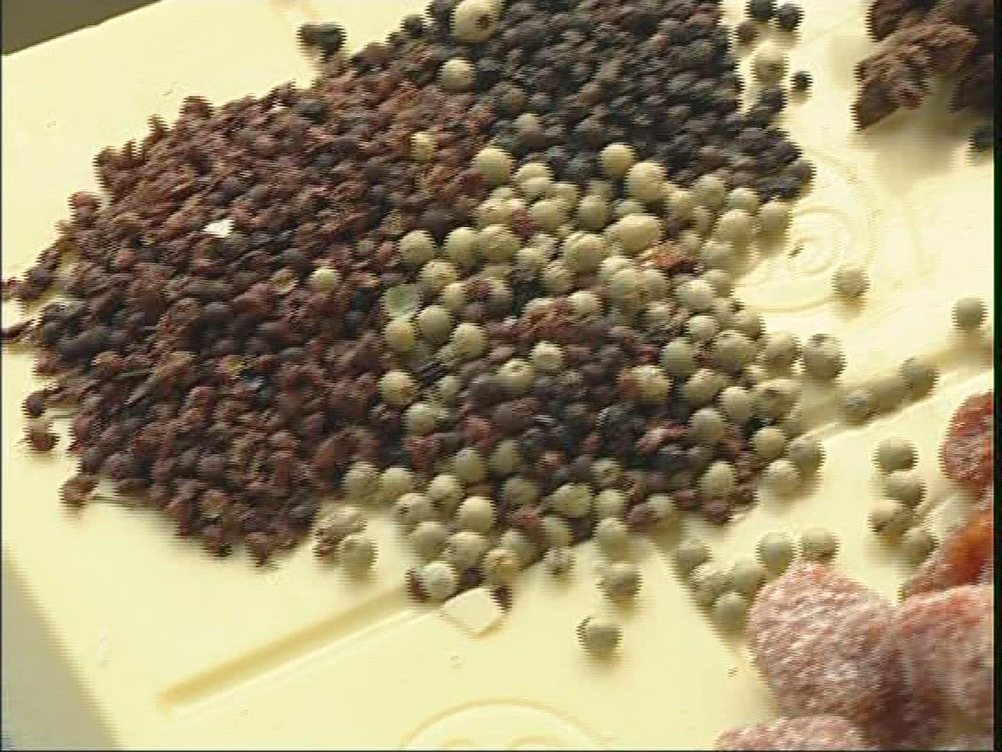568549965 / Chocolate / Amsterdam / Netherlands
