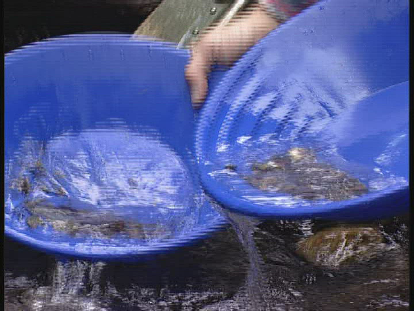 843261188 / Gold / Raw Material Extraction / Sweden