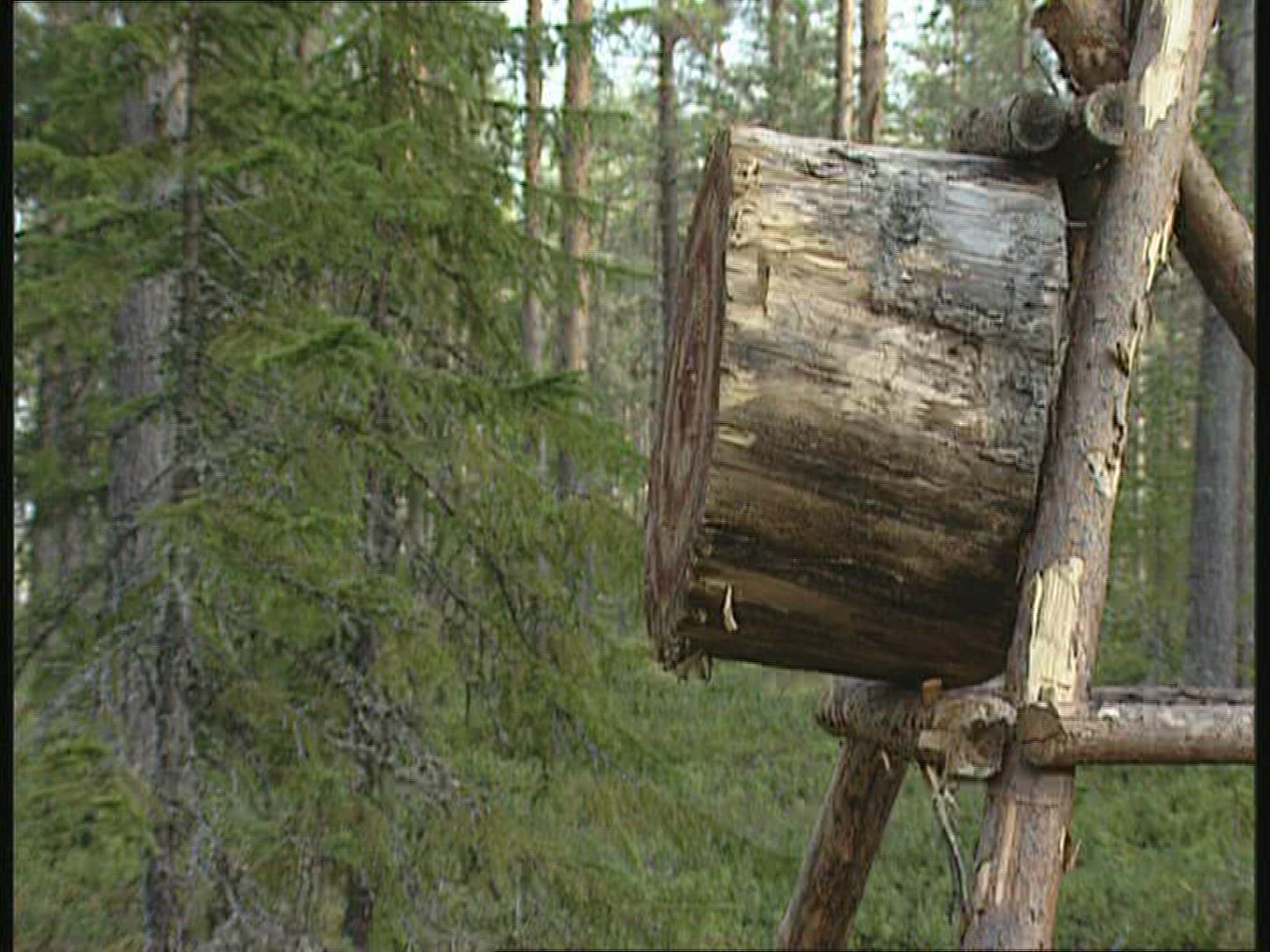 134550402 / Throwing an Axe / Sweden