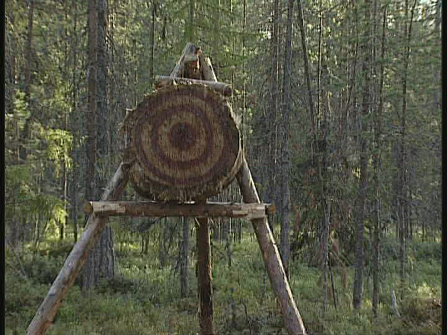 319602104 / Throwing an Axe / Sweden