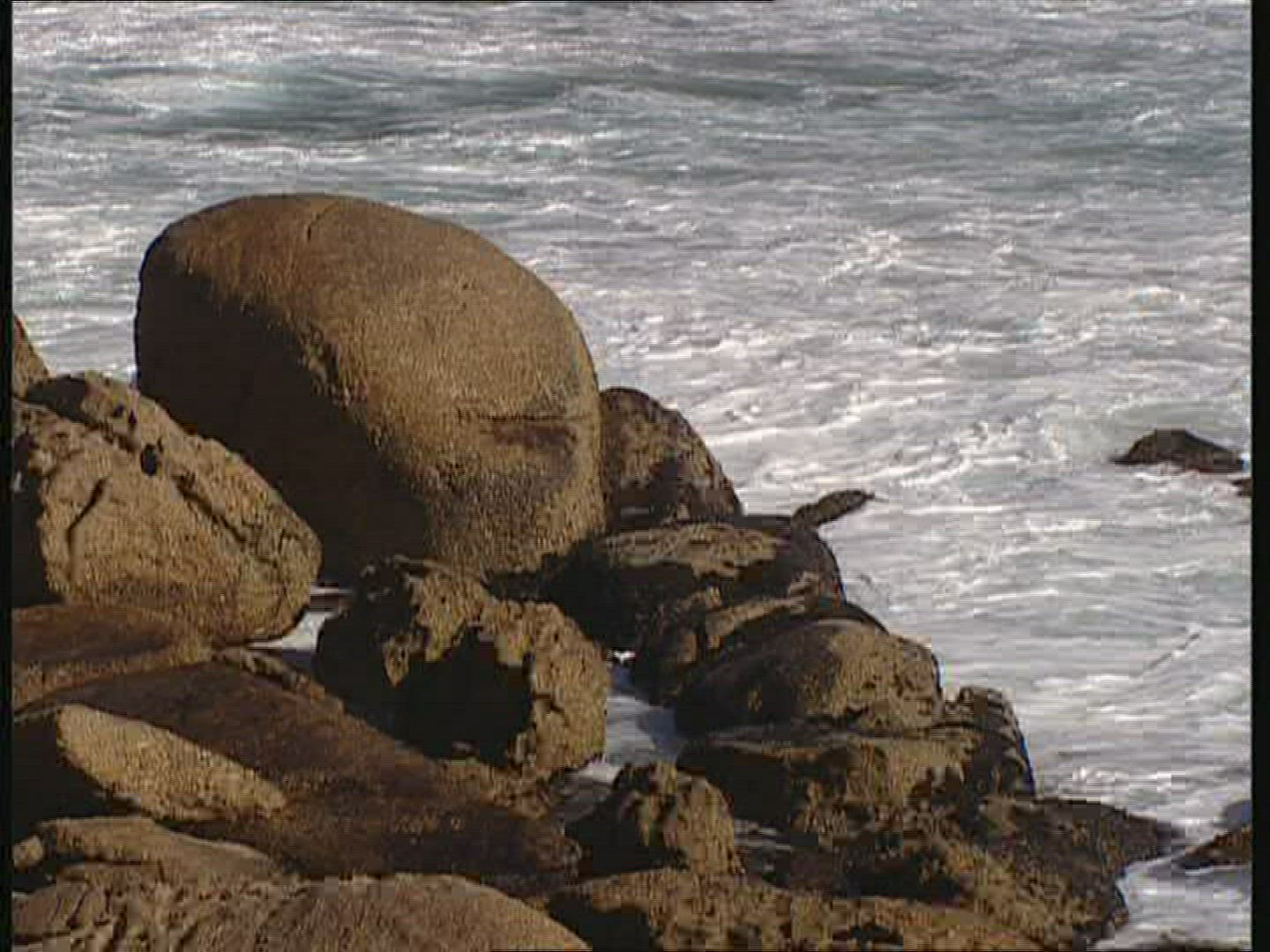 741721267 / Camps Bay / Cape Town / South Africa