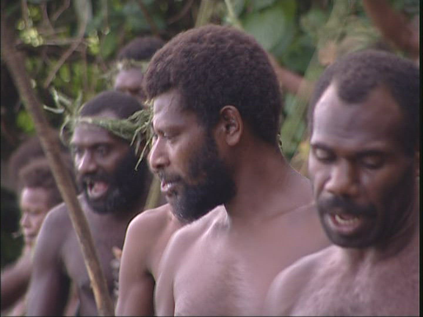 256438115 / Naghol / Jumping / Pentecost / Vanuatu