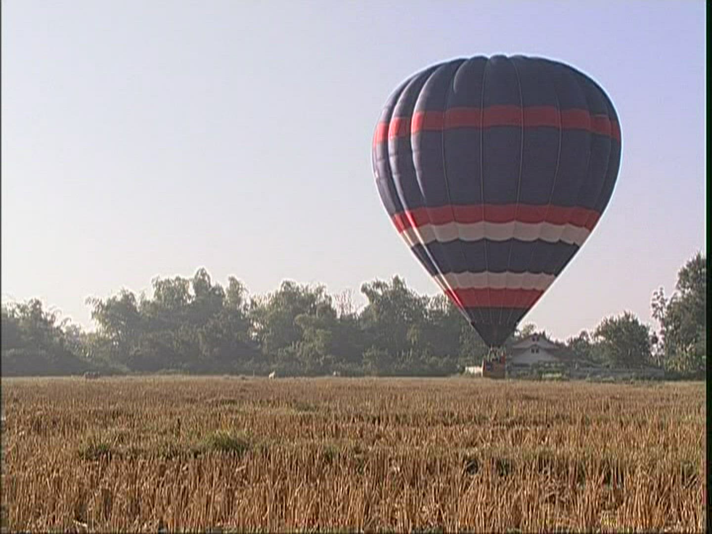 627452323 / Ballooning / Chiang Mai / Thailand