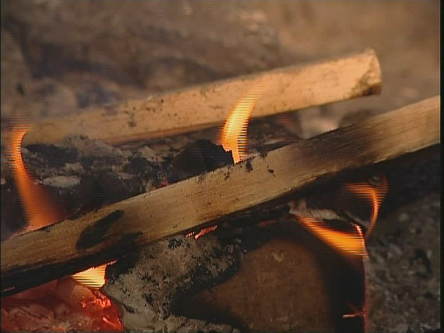 189232883 / Fire / Flame