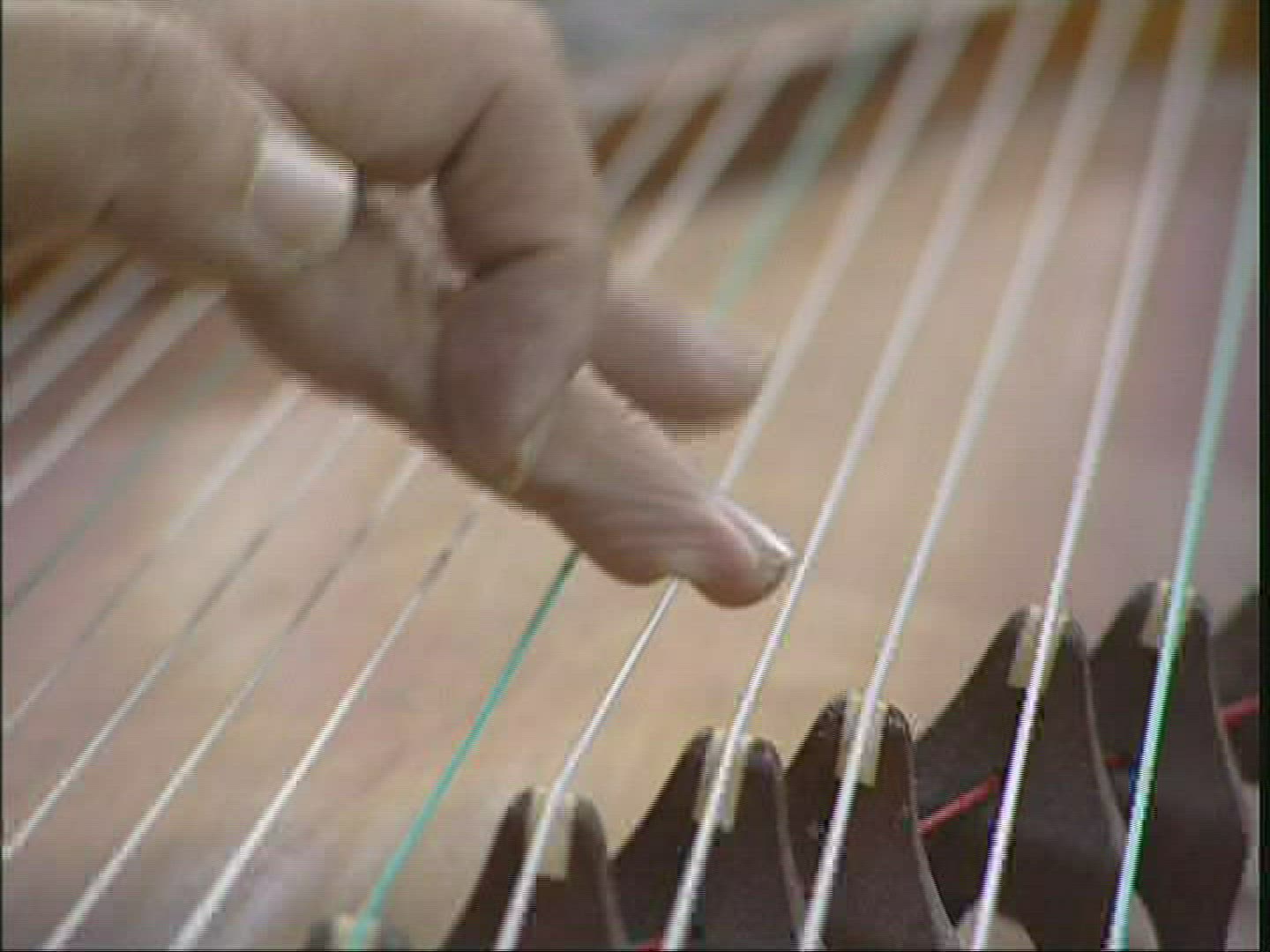 468322690 / Zither / Playing / Taiwan