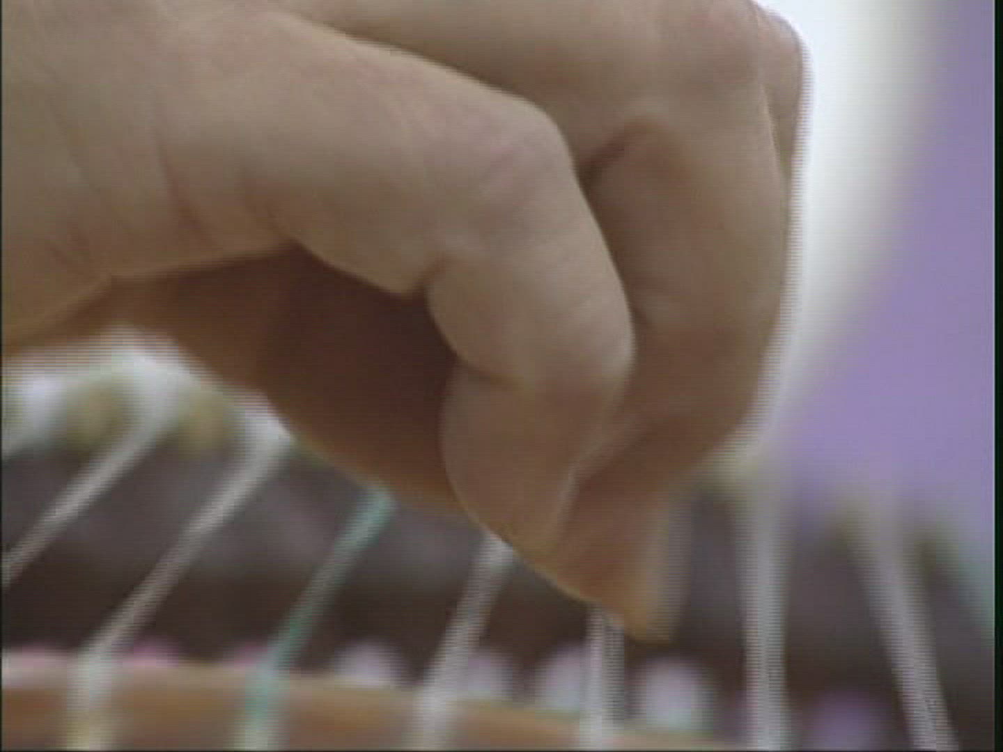 314564303 / Zither / Playing / Taiwan