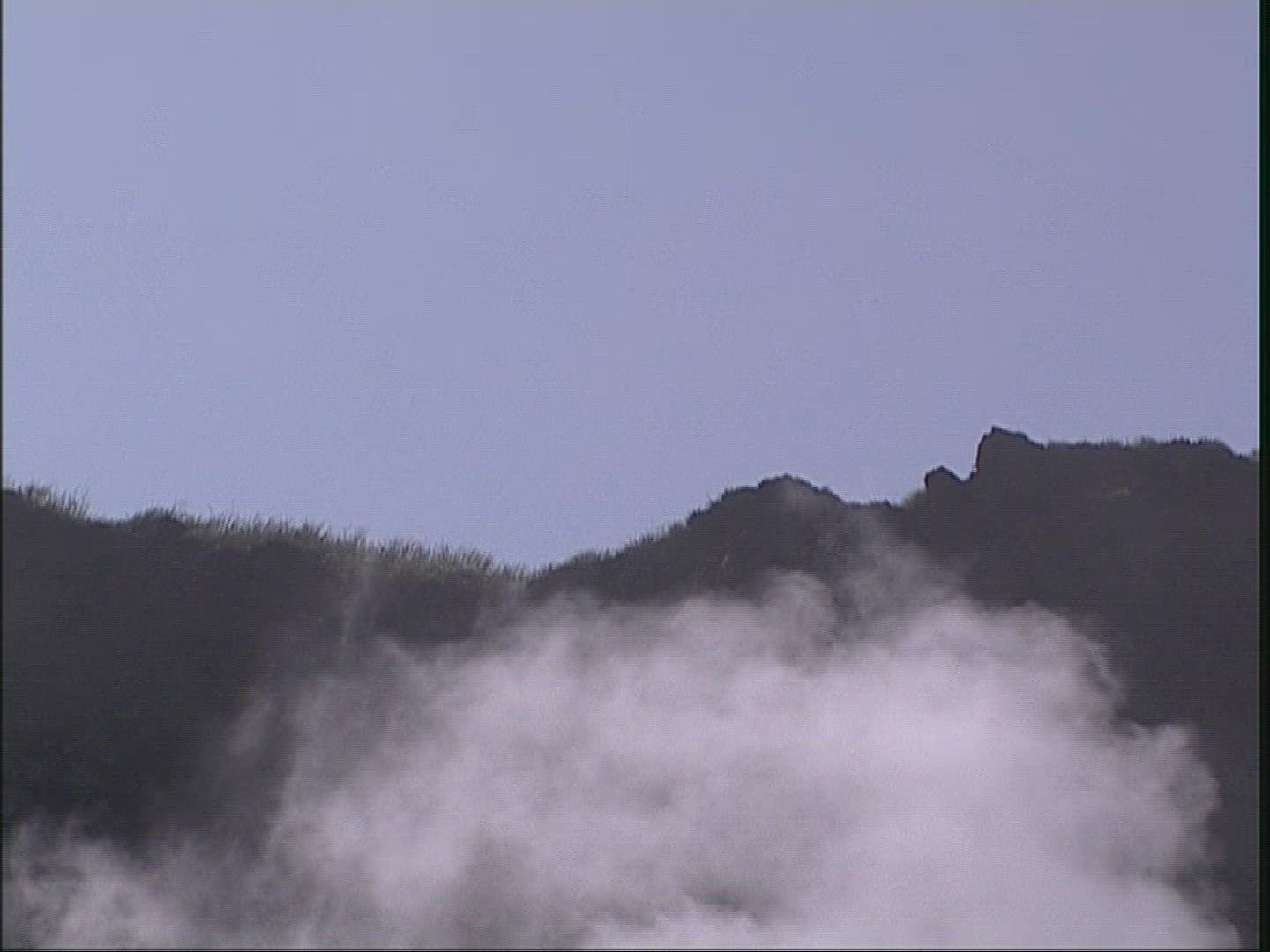 393053938 / Steam / Yangmingshan National Park / Taiwan