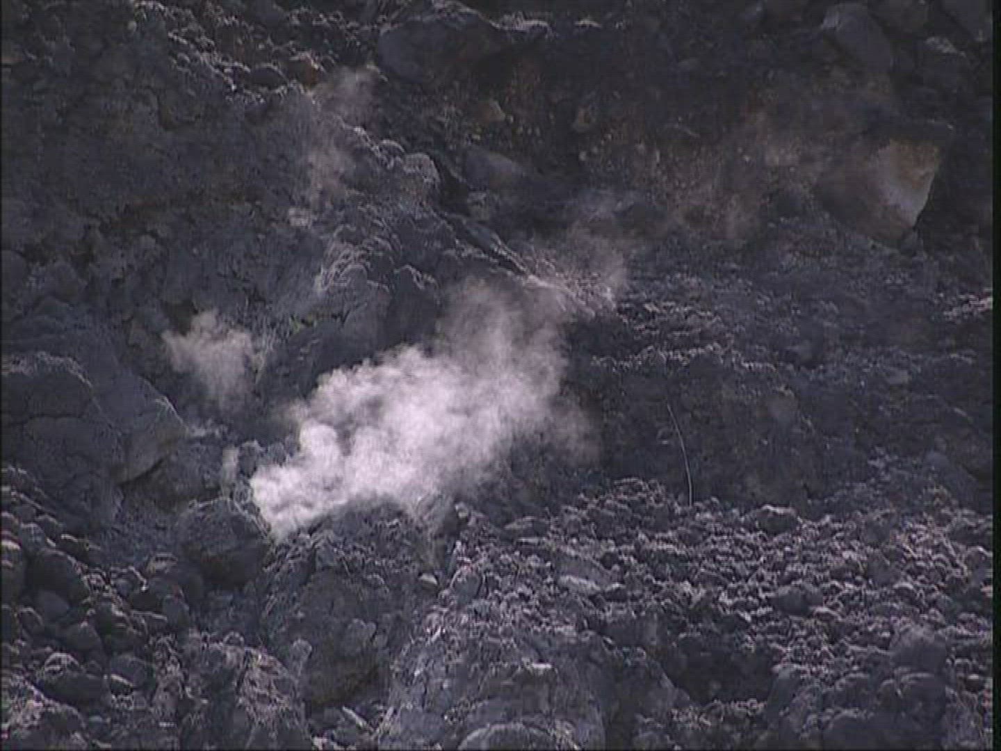 294981242 / Steam / Yangmingshan National Park / Taiwan