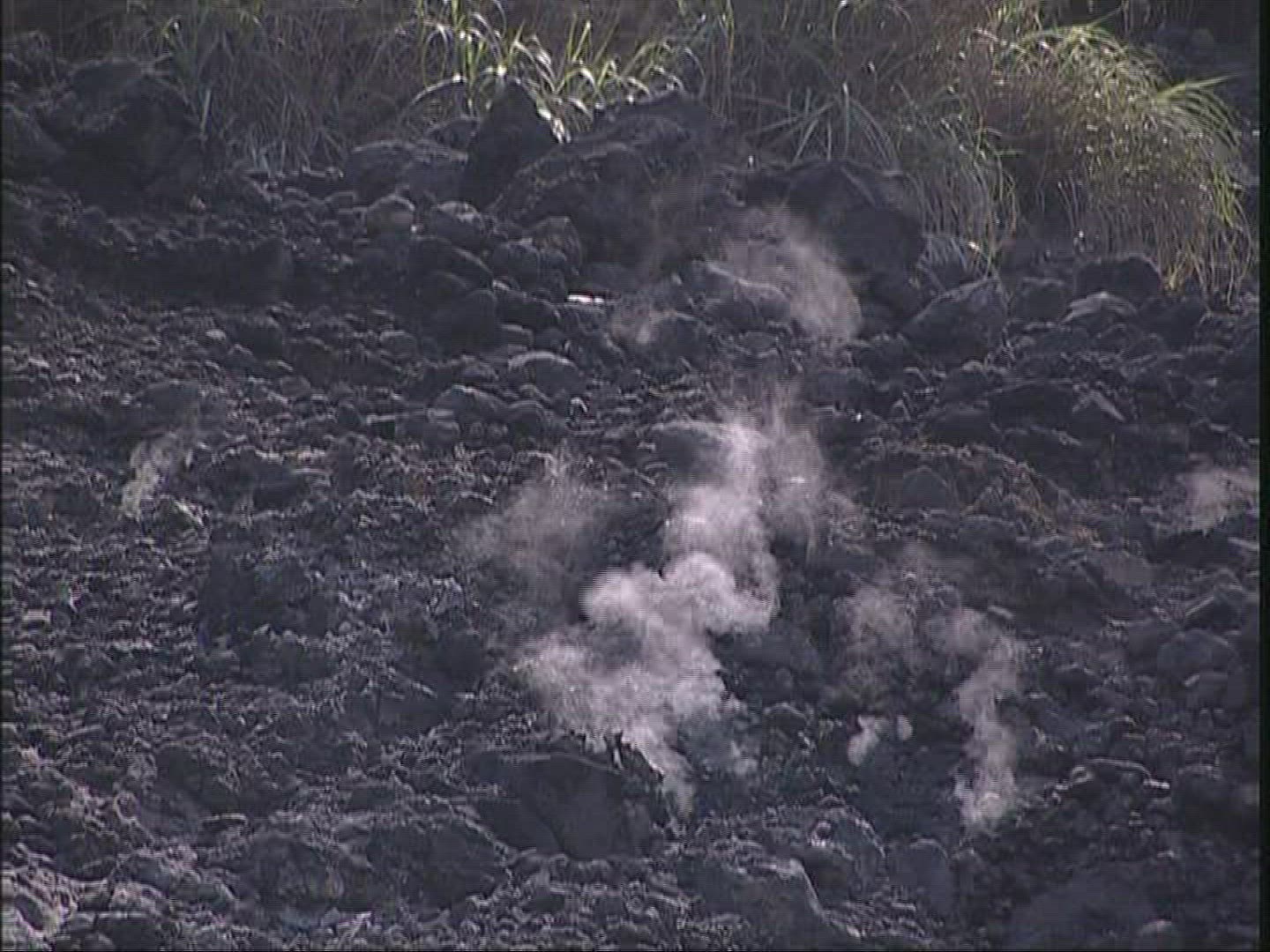 694637052 / Steam / Yangmingshan National Park / Taiwan