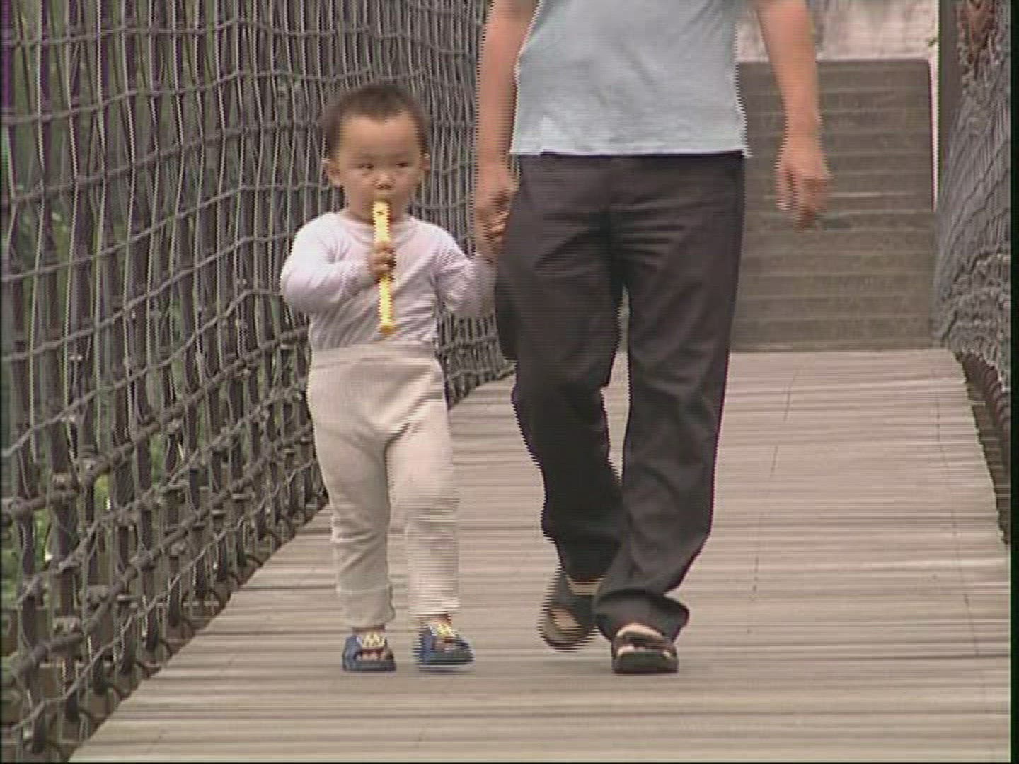 434868528 / Father / Son / Suspension Bridge / Taiwan
