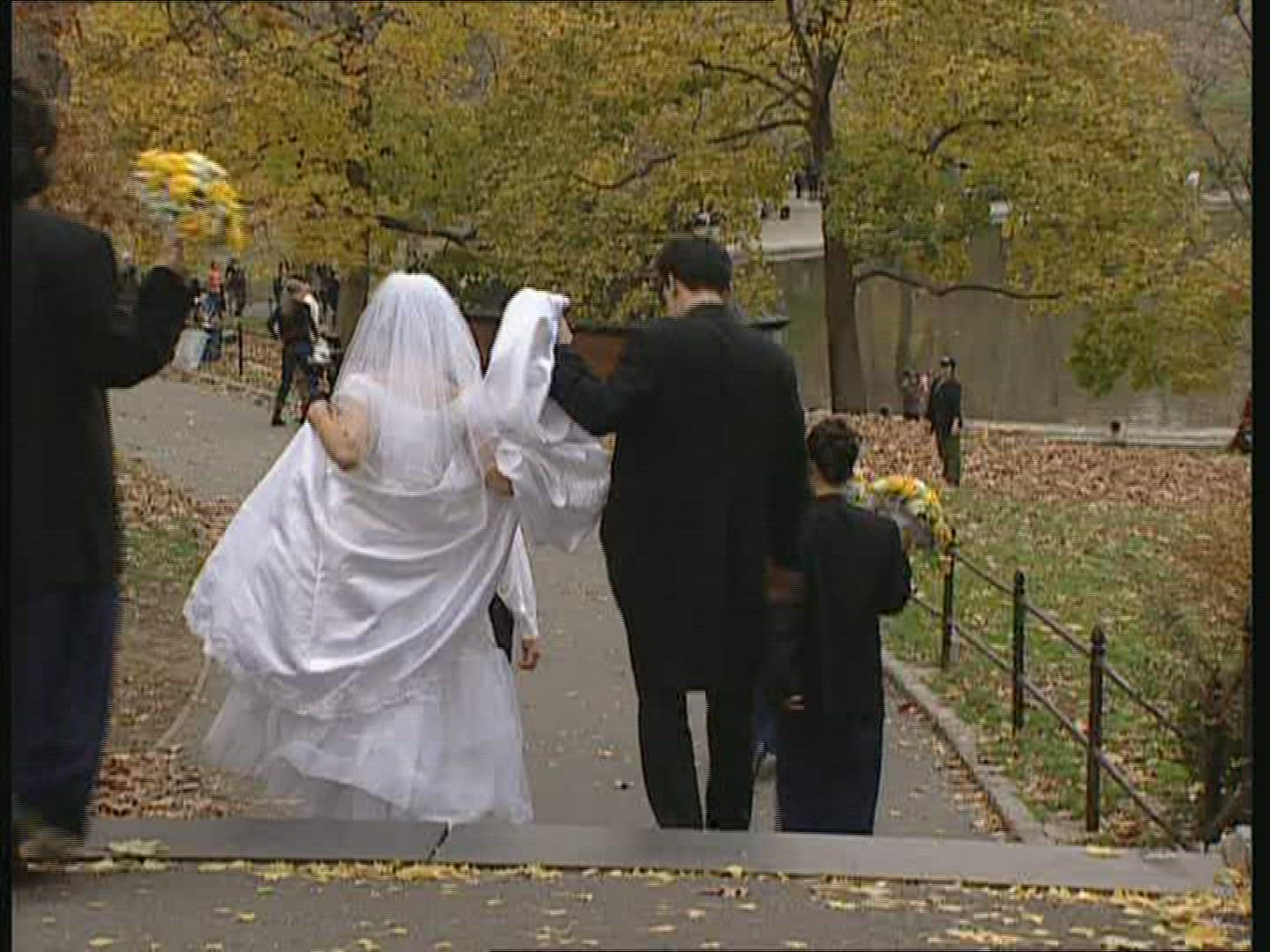 407403667 / Bridal Couple / Central Park / New York City / USA