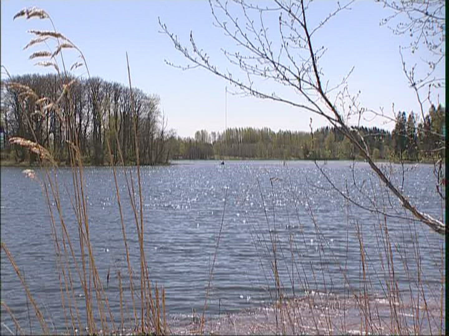 856722022 / Lake / Rowing-boat / Pühajärv / Estonia