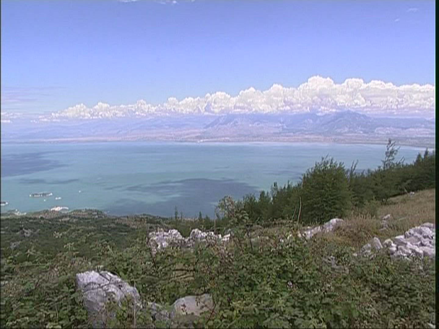 887109572 / Lake Scutari / Waterside / Montenegro