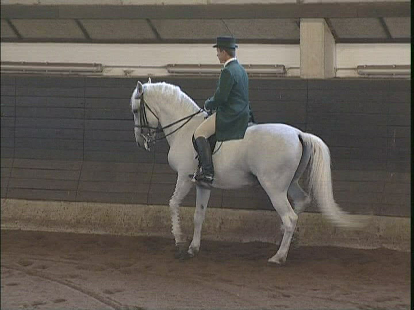 434054418 / Lippizaner / Demonstrating / Sezana / Slovenia