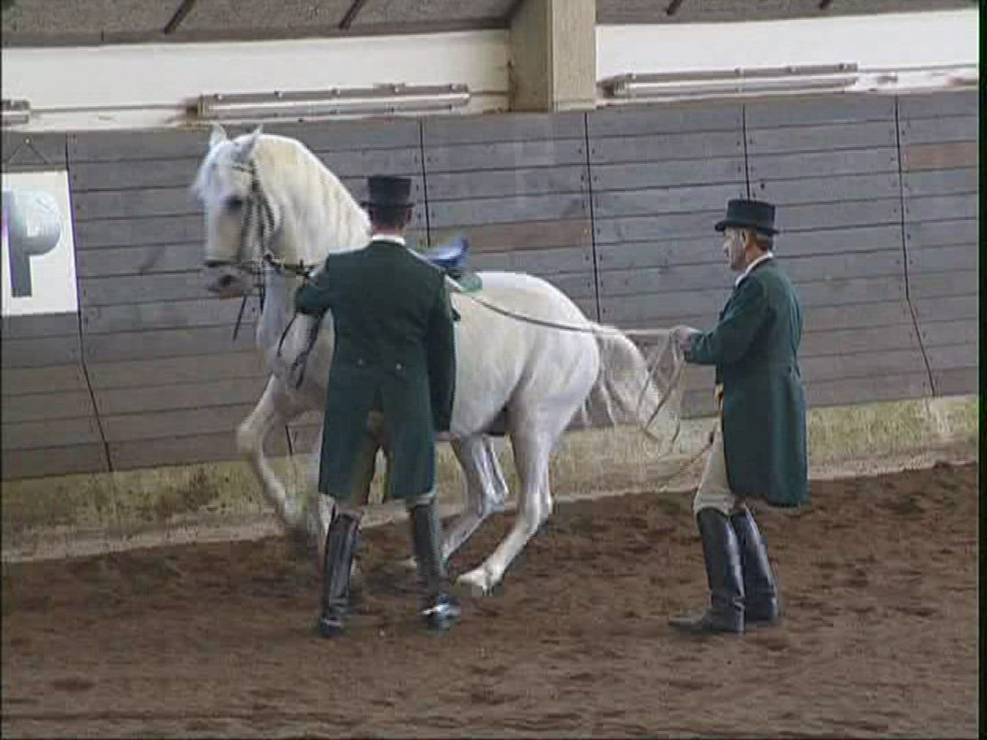 448805504 / Lippizaner / Demonstrating / Sezana / Slovenia