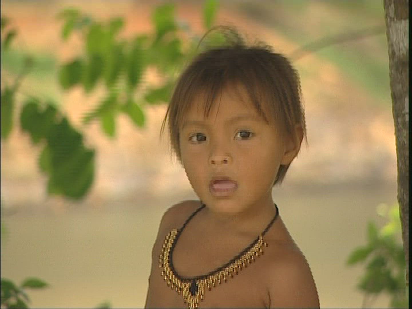 258209913 / Indio / Panama