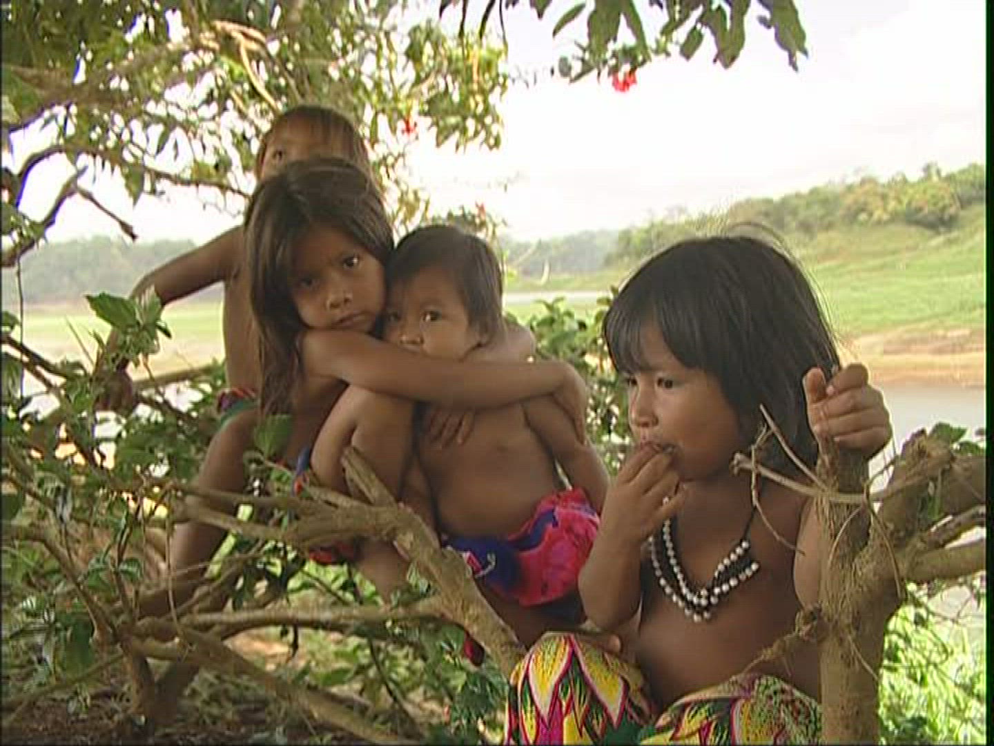 111445118 / Indio / Panama