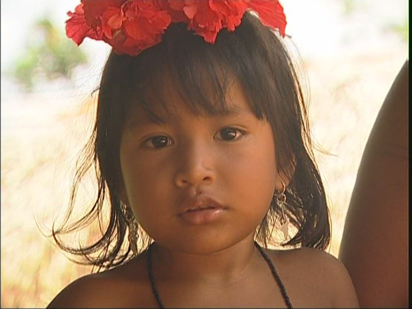 942168884 / Indio / Panama