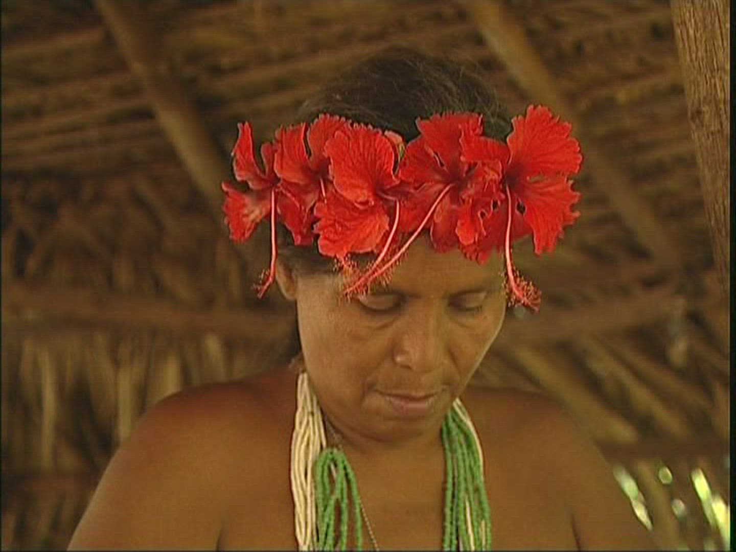 462290050 / Indio / Panama