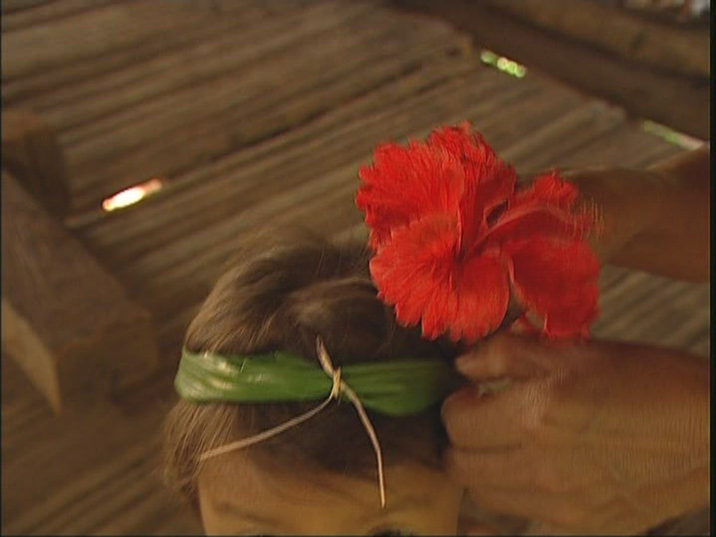 794217856 / Indio / Panama