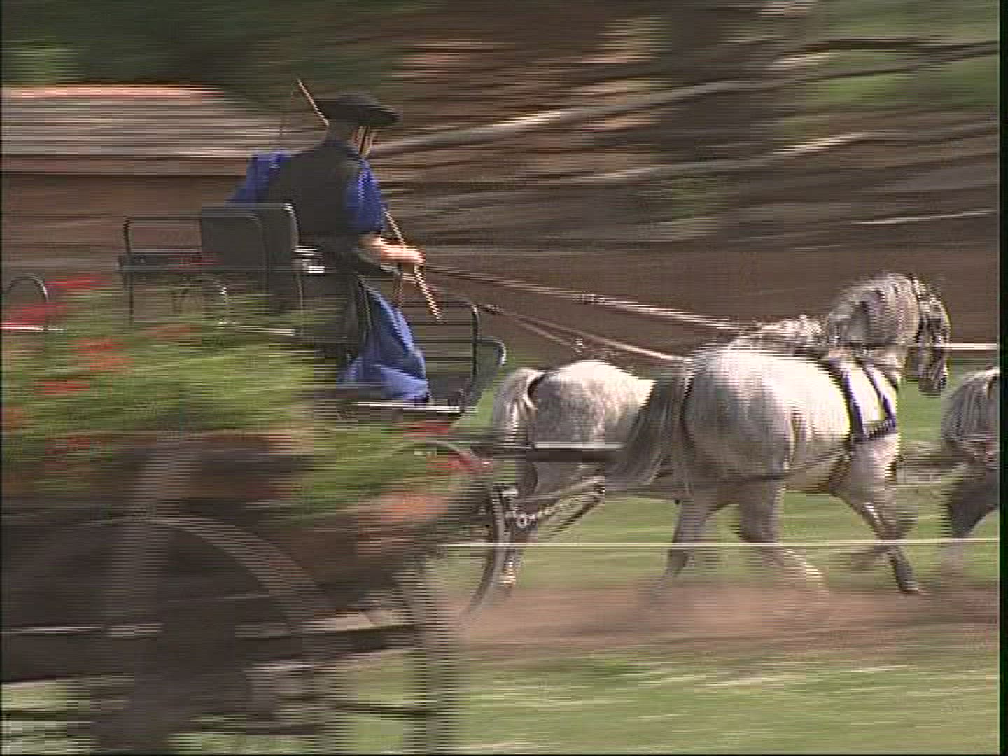 870949645 / Horse / Harnessed Team / Demonstrating / Hungary