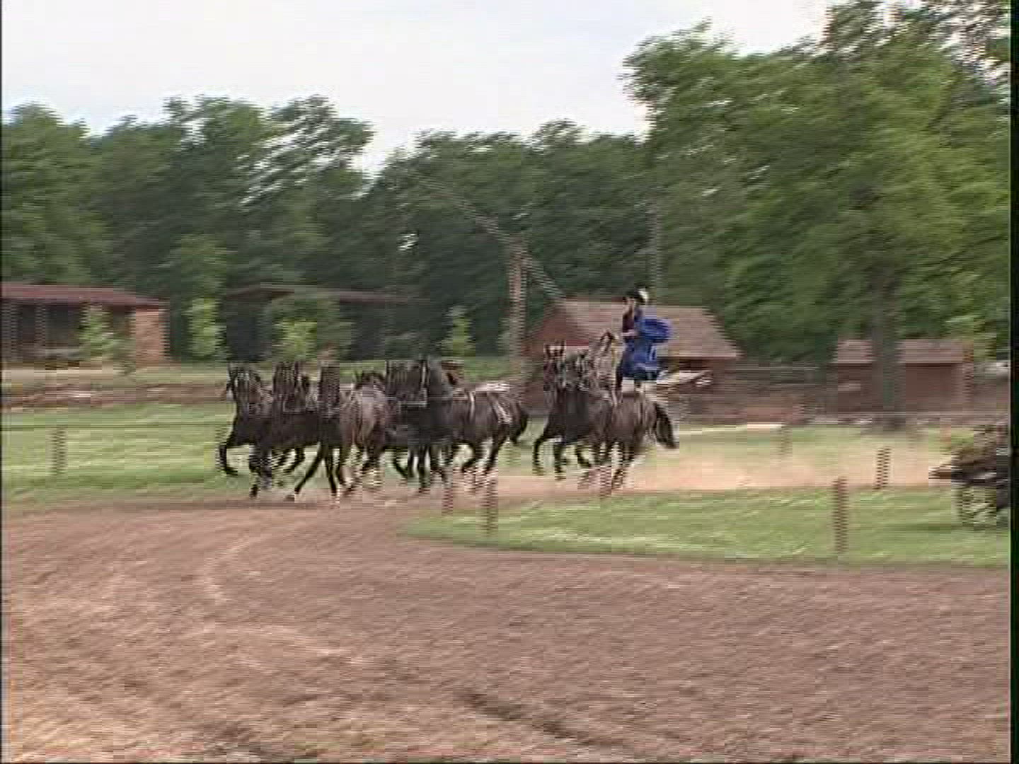 344558149 / Horse / Harnessed Team / Demonstrating / Hungary