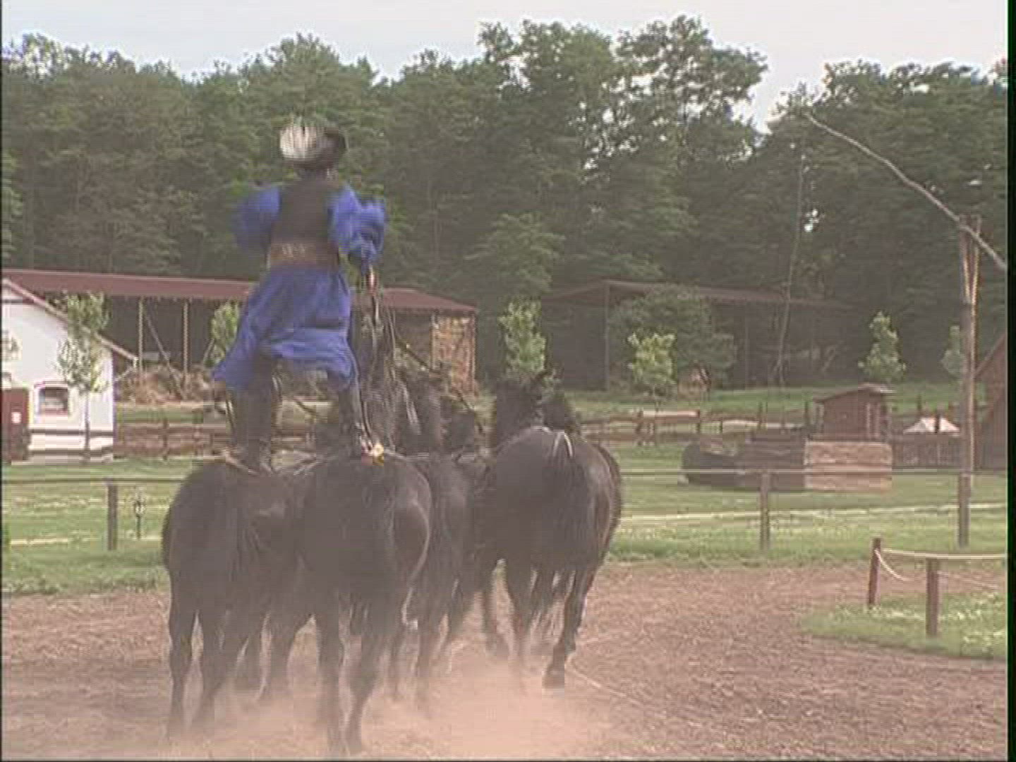 443598326 / Horse / Harnessed Team / Demonstrating / Hungary