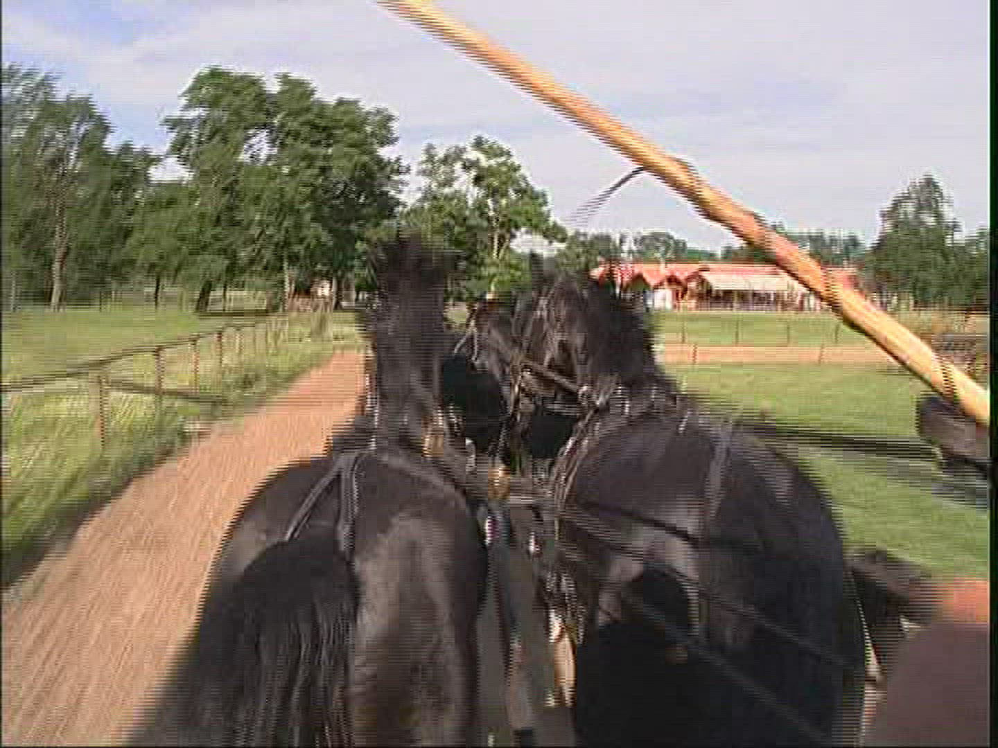 566746425 / Horse / Harnessed Team / Demonstrating / Hungary