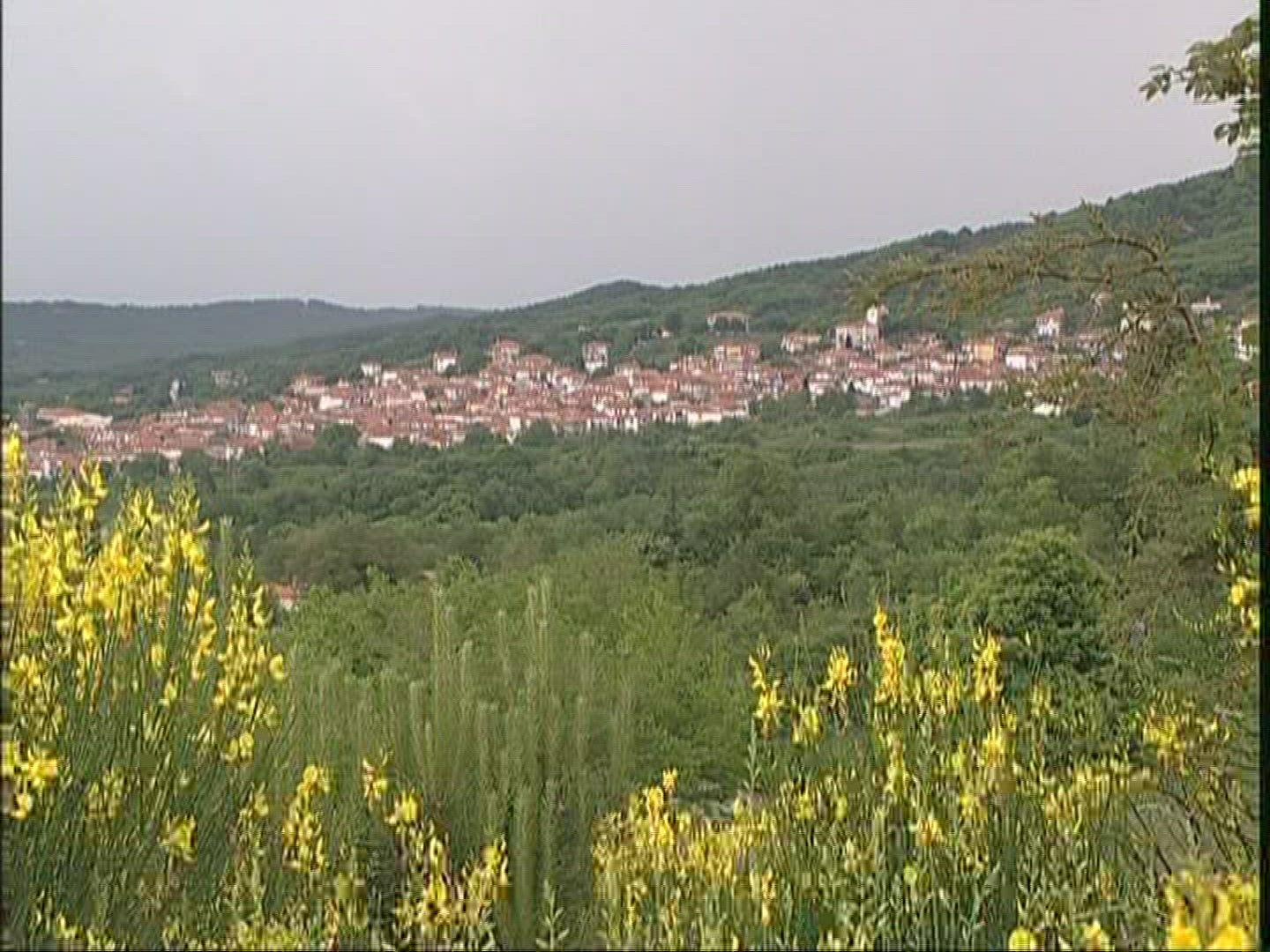 554058474 / Village / Chalkidiki / Greece