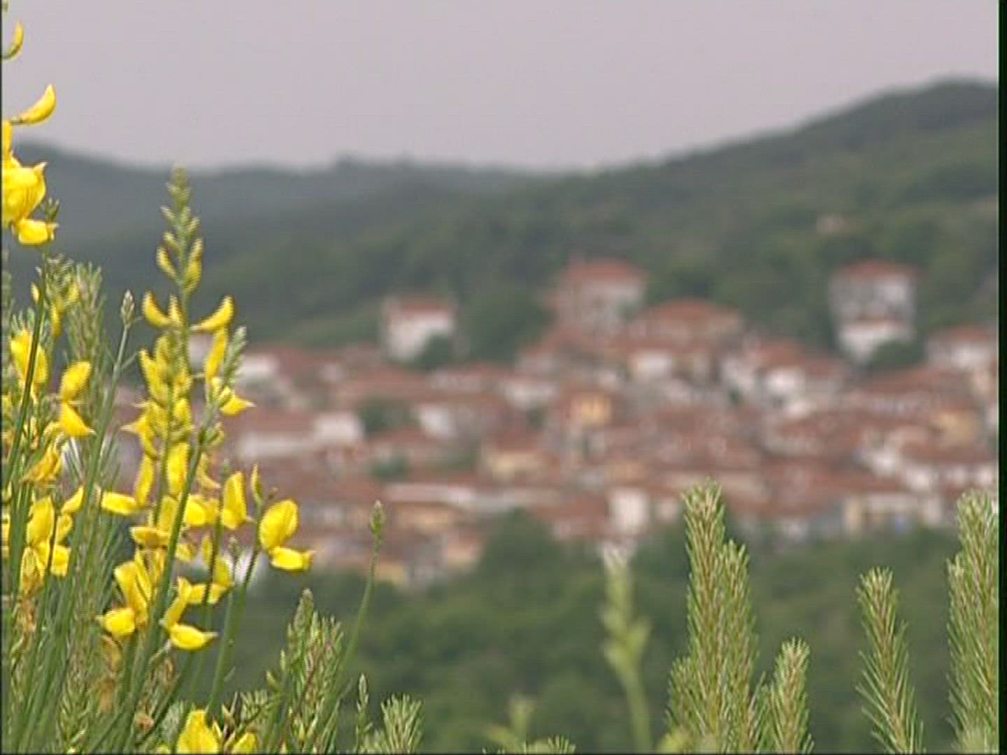 673395830 / Village / Chalkidiki / Greece