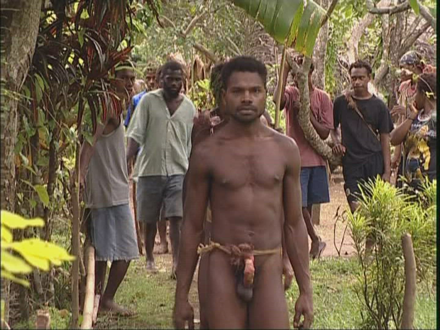 884985120 / Pentecost / Vanuatu