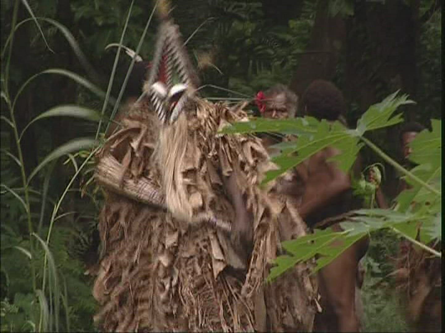 780487199 / Melanesian Ethnicity / Rom-Dance / Ambrym / Vanuatu