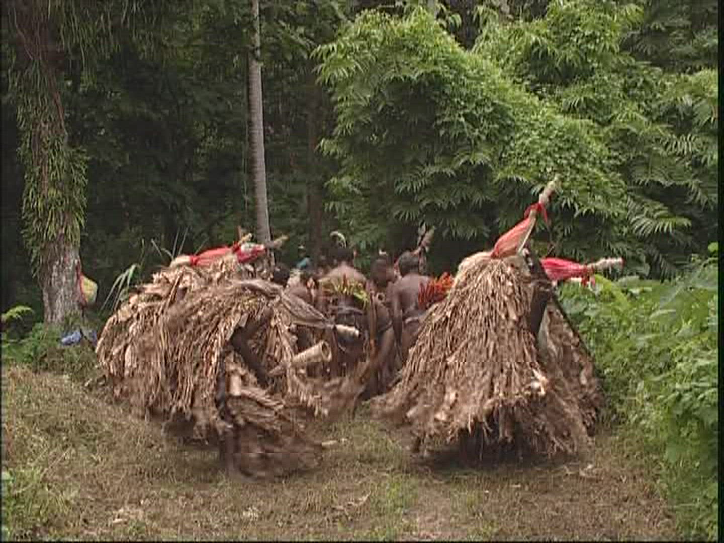 505952758 / Melanesian Ethnicity / Rom-Dance / Ambrym / Vanuatu