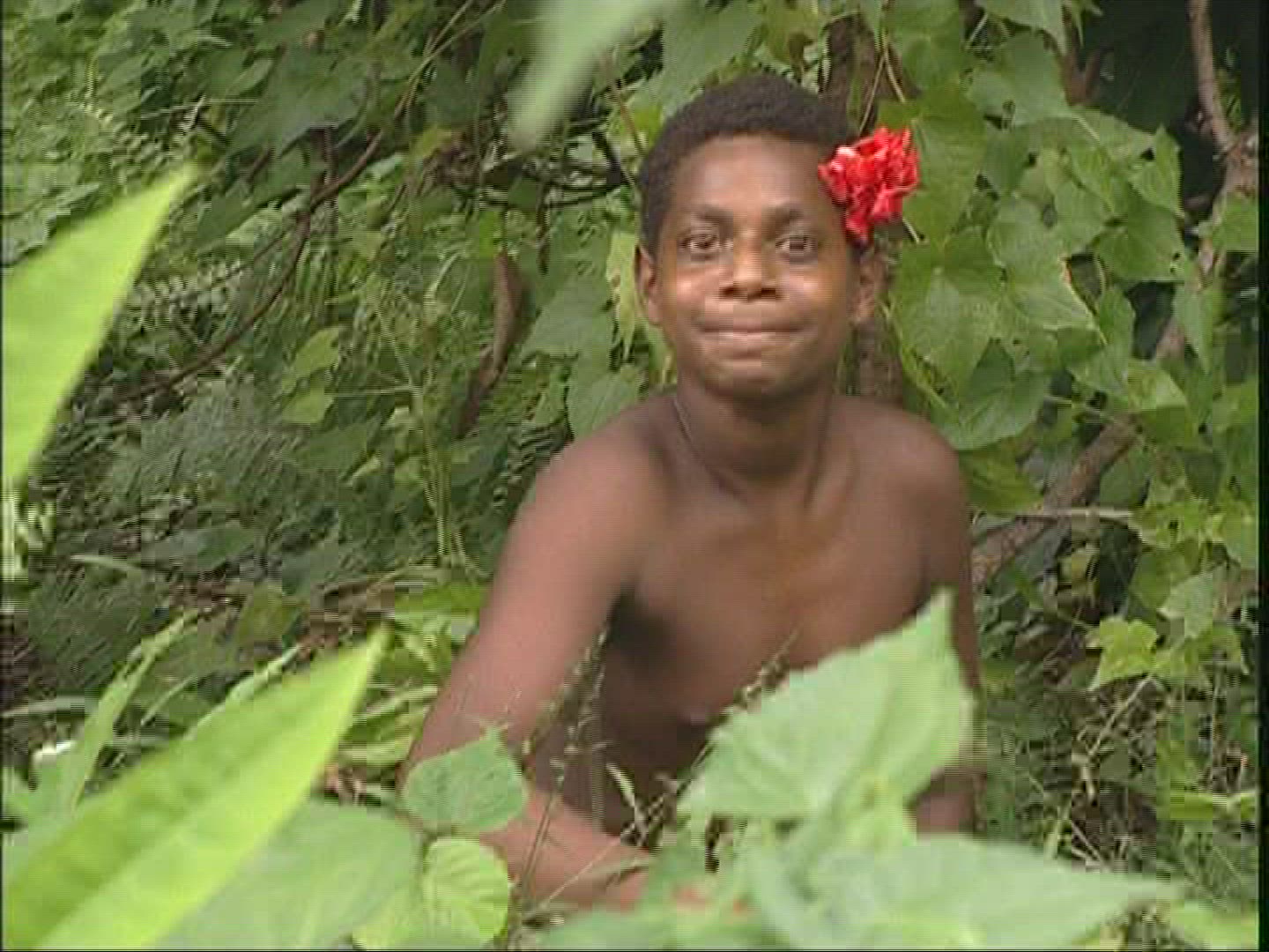 590847301 / Melanesian Ethnicity / Rom-Dance / Ambrym / Vanuatu