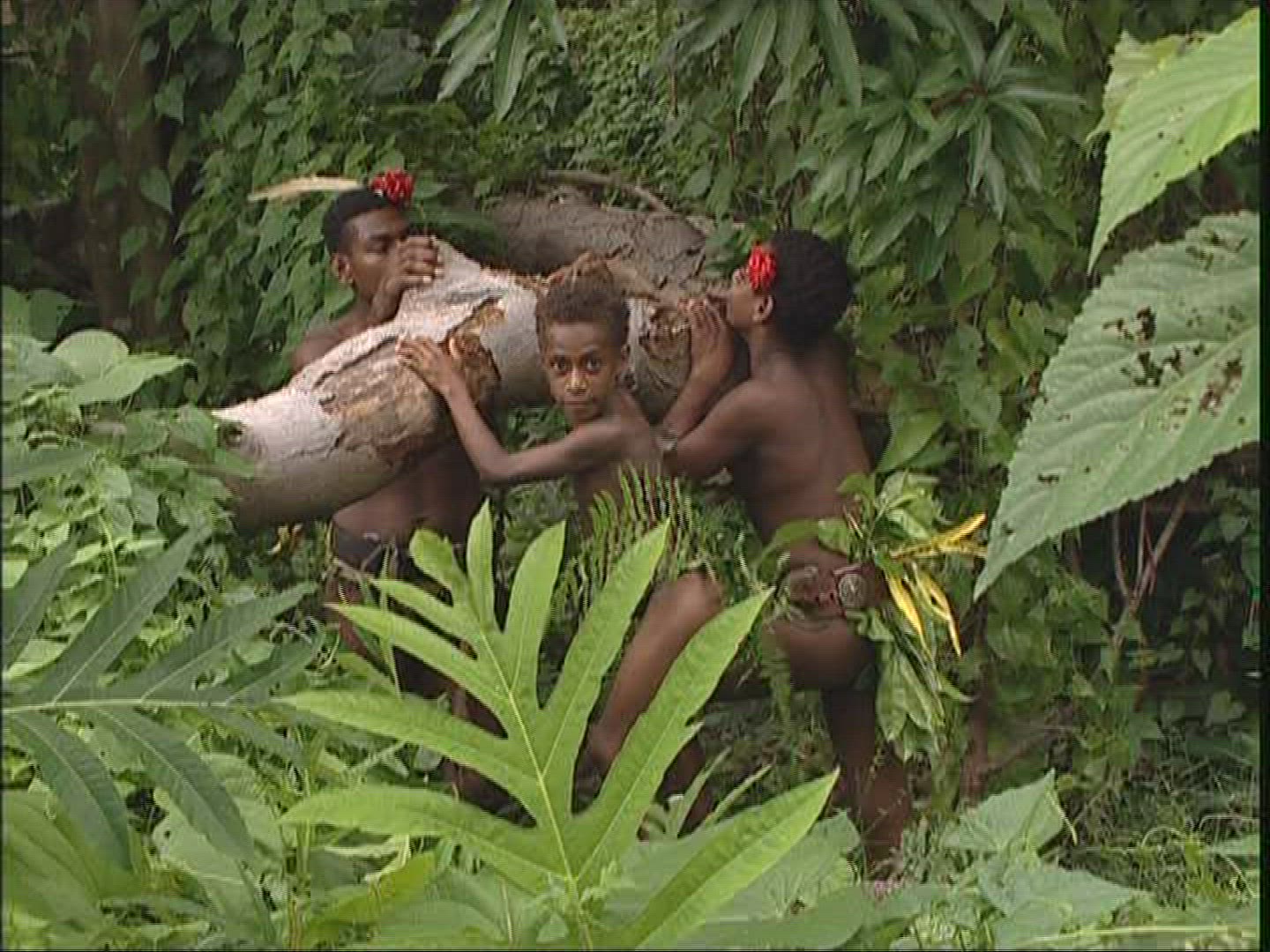472409389 / Melanesian Ethnicity / Rom-Dance / Ambrym / Vanuatu
