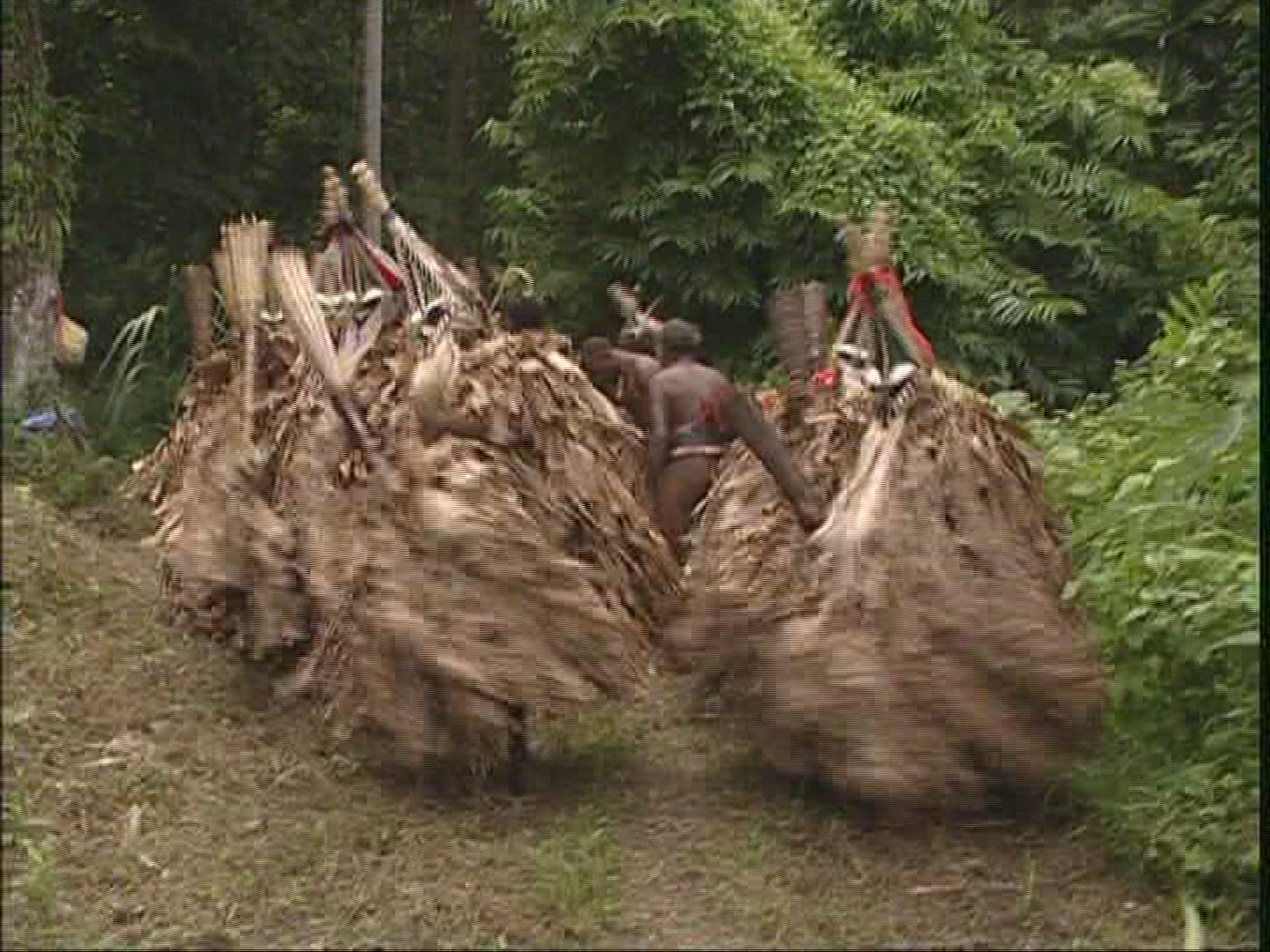 175047816 / Melanesian Ethnicity / Rom-Dance / Ambrym / Vanuatu