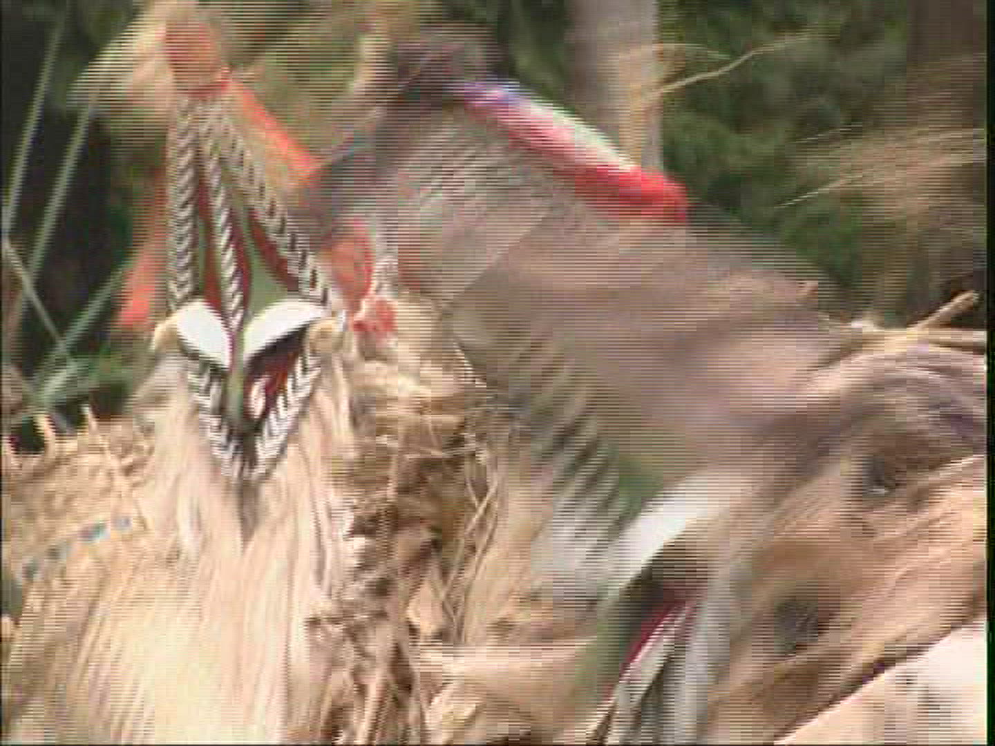 859971540 / Melanesian Ethnicity / Rom-Dance / Ambrym / Vanuatu