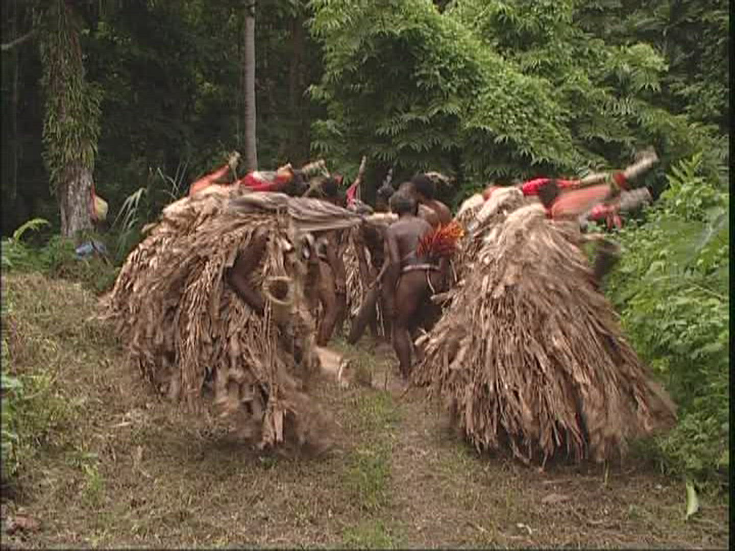 118970516 / Melanesian Ethnicity / Rom-Dance / Ambrym / Vanuatu