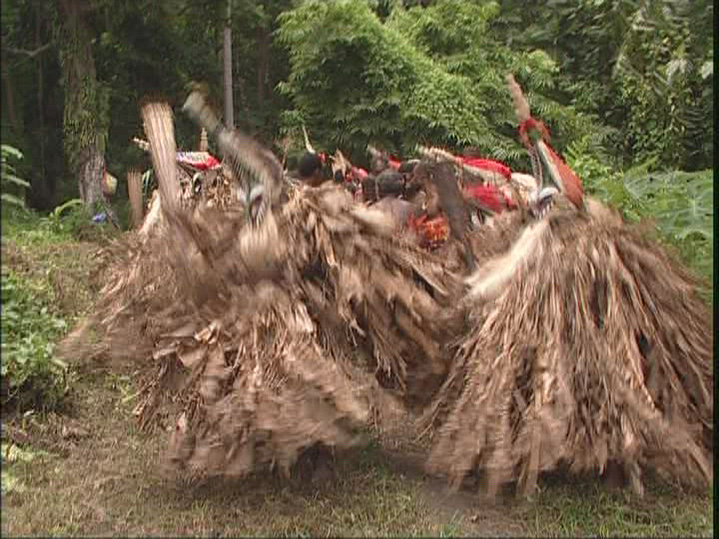 560025543 / Melanesian Ethnicity / Rom-Dance / Ambrym / Vanuatu