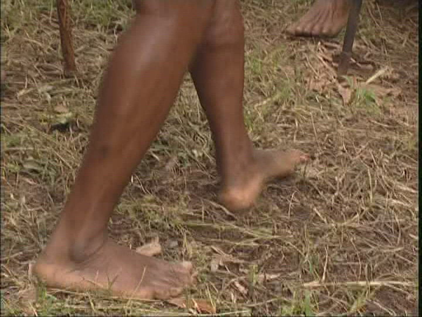 783327615 / Melanesian Ethnicity / Rom-Dance / Ambrym / Vanuatu