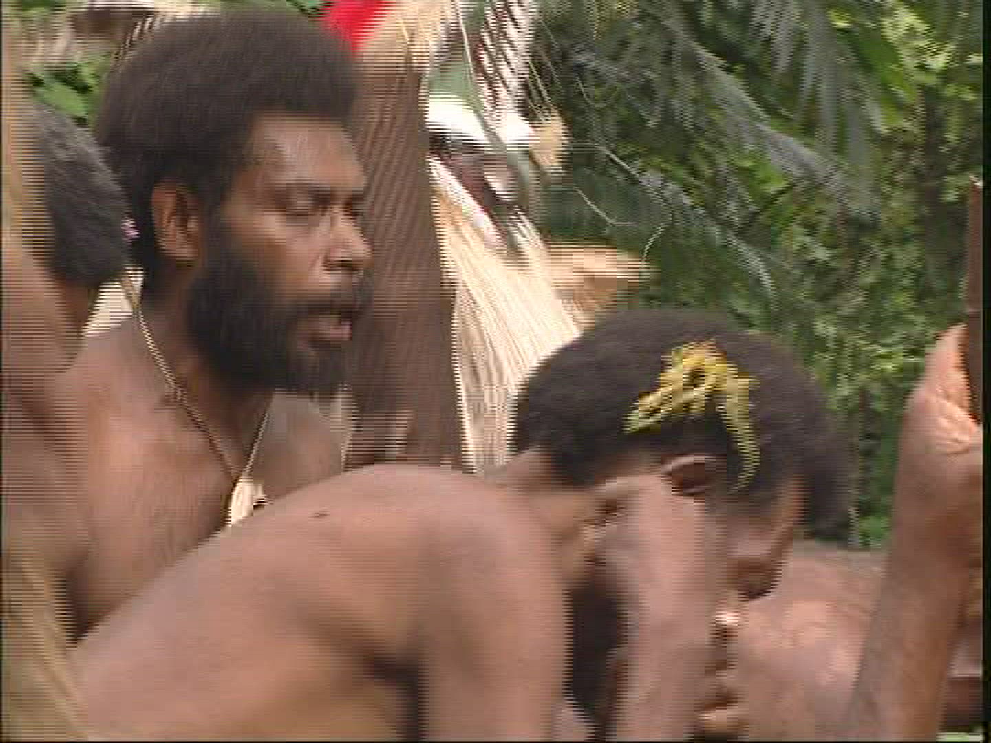 378976044 / Melanesian Ethnicity / Rom-Dance / Ambrym / Vanuatu