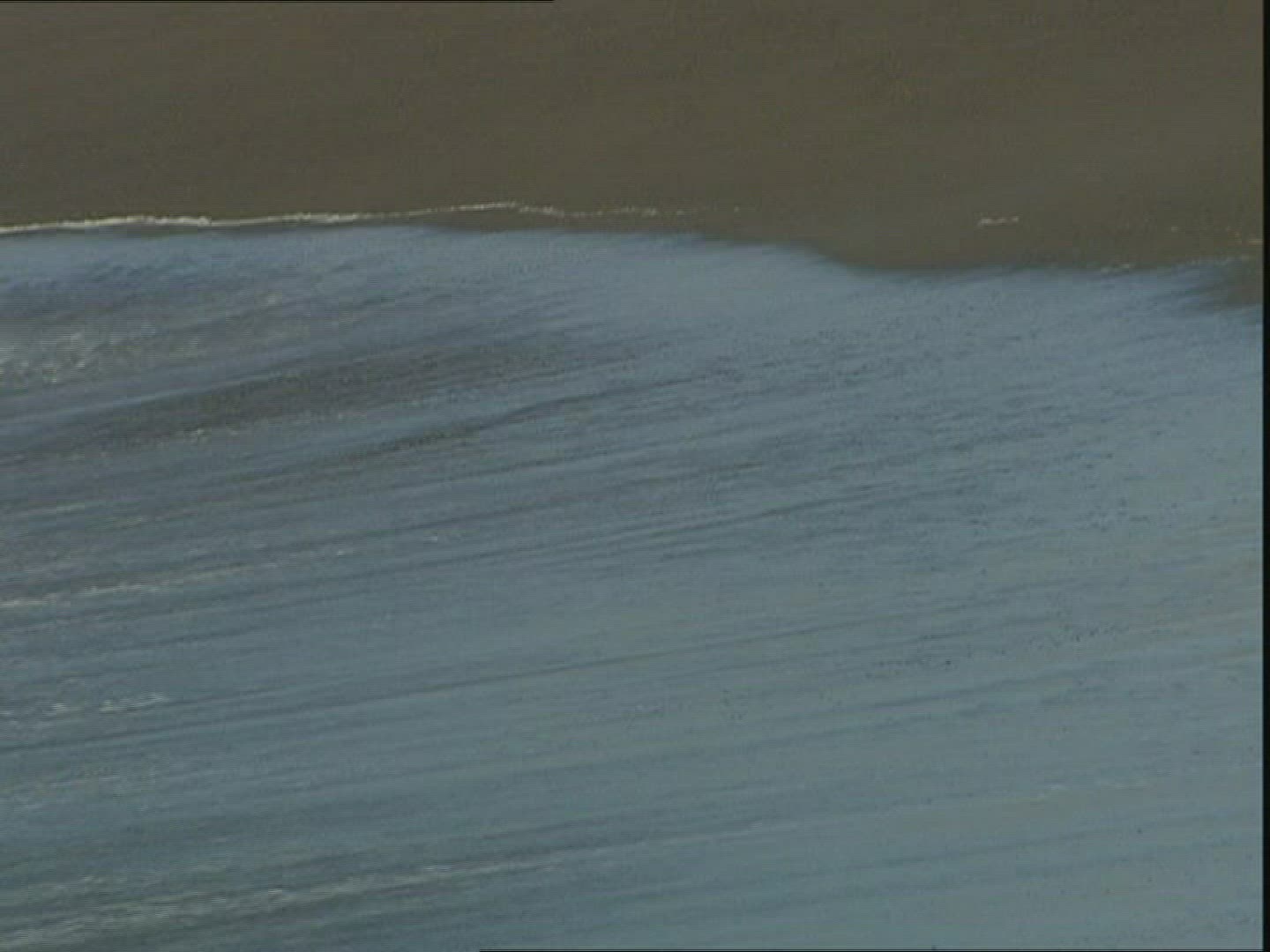 274749092 / Sea / Surf / Italy