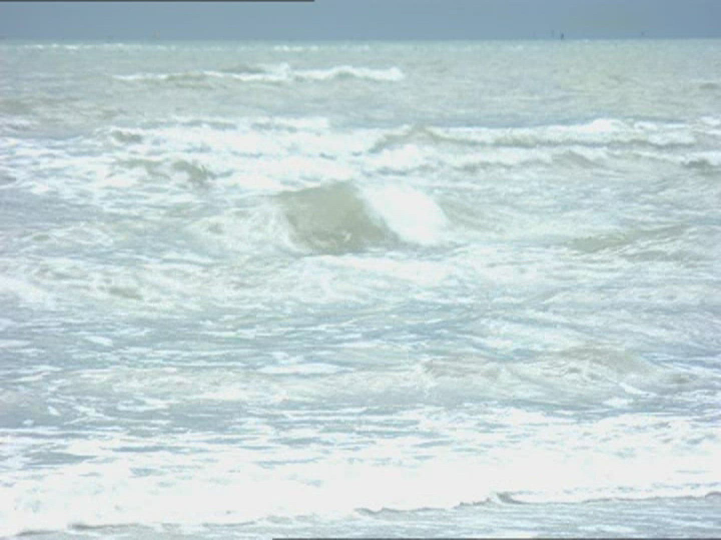 870280366 / Surf / Sea / Veneto / Italy
